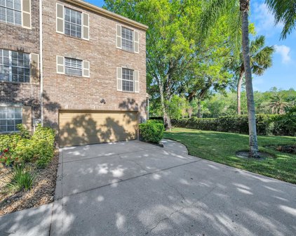 4051 Daventry Lane, Palm Harbor