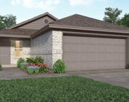 10922 Bonfire Trail, Beasley image