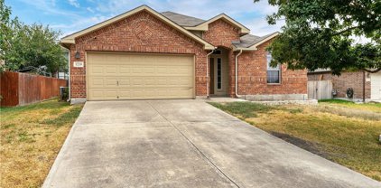 1239 Sandhill Crane, New Braunfels