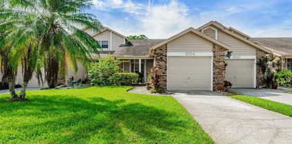 6534 Thicket Trail, New Port Richey