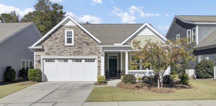 3034 Cross Vine Lane, Summerville