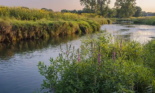 Mchenry Homes for Sale