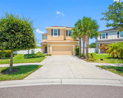 8315 Round Leaf Lane, Riverview