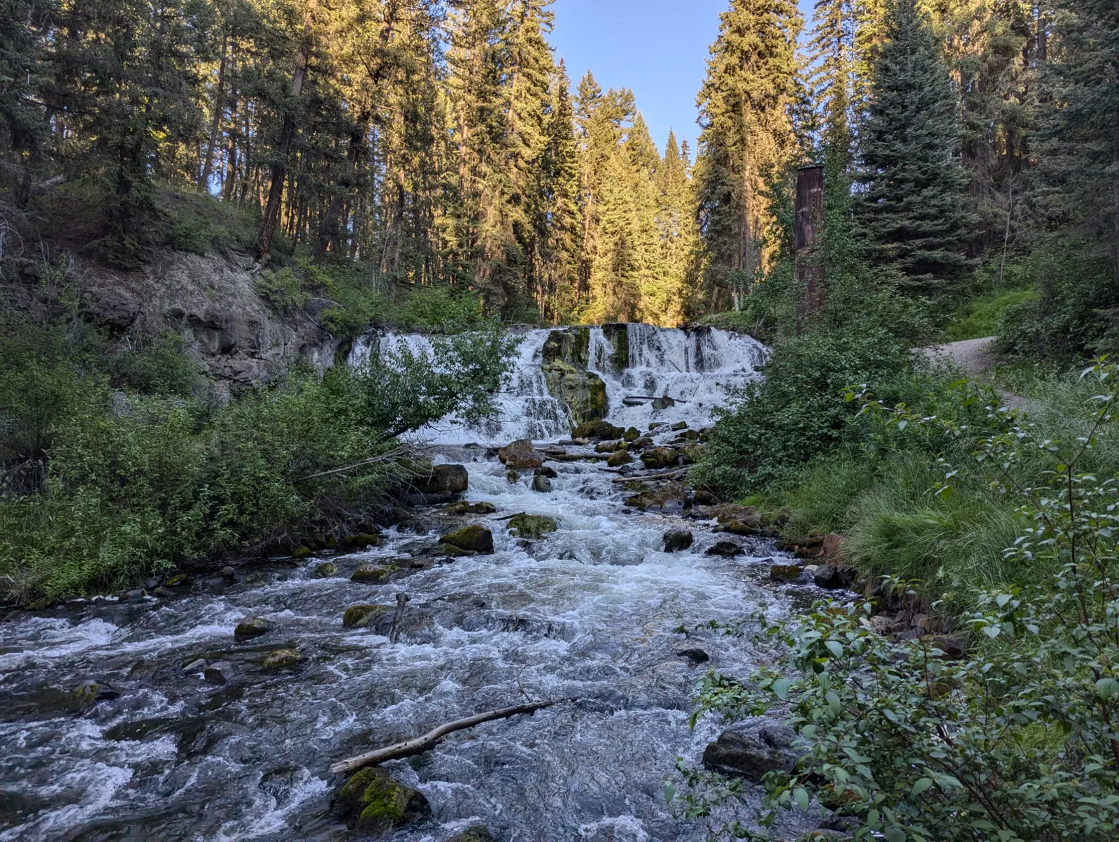 Water flowing over Bridge Creek Falls among trees in Centennial Park