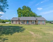 144 Needmore Road, Albertville image
