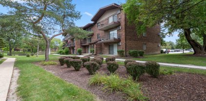 2544 Waterbury Drive Unit #1504, Woodridge