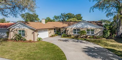 4707 Onyx Place, Tampa