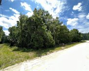 335 Sw Randolph Court, Fort White image