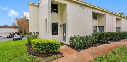 4222 La Palma Court, Tampa