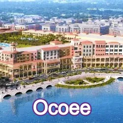 Ocoee Florida Homes for Sale