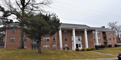 9808 47th Pl Unit #206, College Park