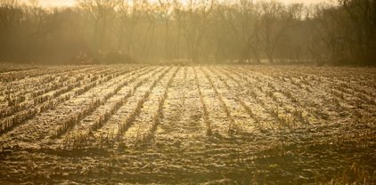Ray County Line Rd. Road, Excelsior Springs
