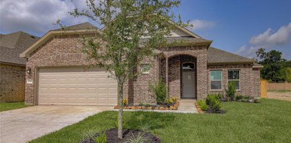 10511 Bear Point Court, Rosharon
