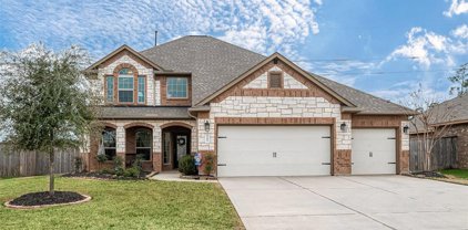 12623 Sherborne Castle Court, Tomball