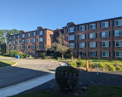 1216 S New Wilke Road Unit #306, Arlington Heights