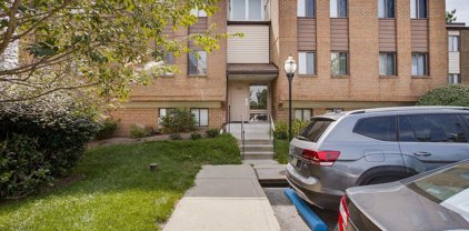 1805 Snow Meadow   Lane Unit #303, Baltimore