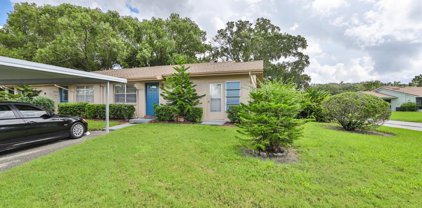 409 Feltham Trail Unit B, Sun City Center