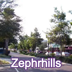 Zephyrhills Homes for Sale