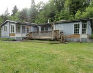 40721 NE MUNCH RD, Amboy image