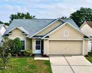 1126 Hardwood Drive, Valrico image