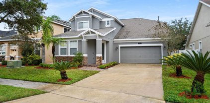 4925 White Bud Court, Windermere