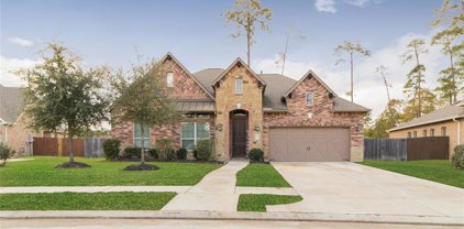 18107 Langkawi Lane, Houston
