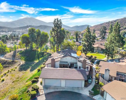 2365 Apricot Tree Ln, Spring Valley