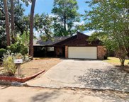 14927 Cypress Falls Drive, Cypress image