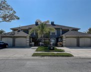 14073 Trouville Drive, Tampa image