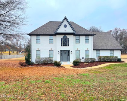 3385 E Plum Point Drive, Olive Branch