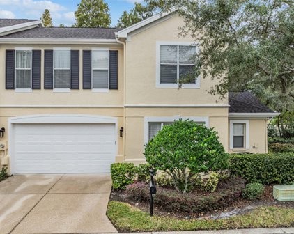 3515 Heards Ferry Drive, Tampa