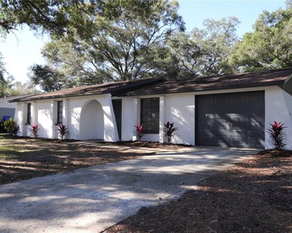 3618 Danny Bryan Boulevard, Tampa