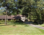 29003 S Plum Creek Drive, Spring image