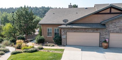 2361 Conservatory Point, Colorado Springs