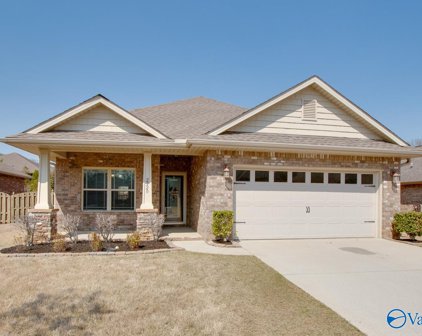 2920 Magnolia Park Drive Se, Owens Cross Roads