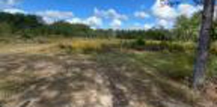 380 Martin Tram Rd, Reeves
