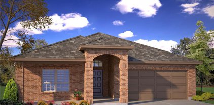 2317 Briscoe Ranch  Drive, Weatherford