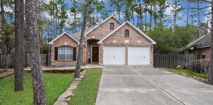 71 N Crossed Birch Place, The Woodlands