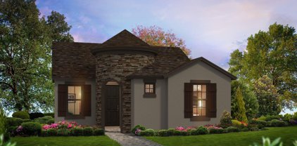 28901 Seedling Street, Wesley Chapel