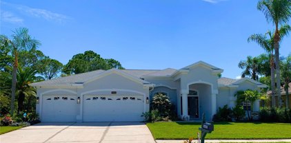 16422 Turnbury Oak Drive, Odessa