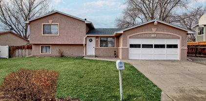 609 E Indian Creek Drive, Grand Junction