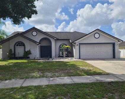 10504 Omega Way, Riverview