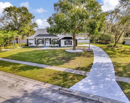 19223 Ridgelake Drive, Lutz