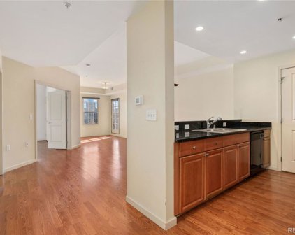 975 N Lincoln Street Unit 8J-N, Denver
