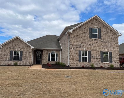 17401 Stonegate Drive, Athens
