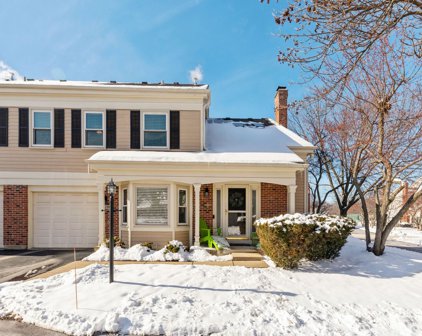 2011 N Charter Point Drive, Arlington Heights