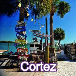 Cortez Florida Homes for Sale