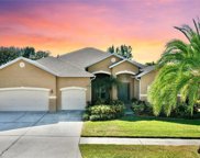 6535 Carrington Sky Drive, Apollo Beach image