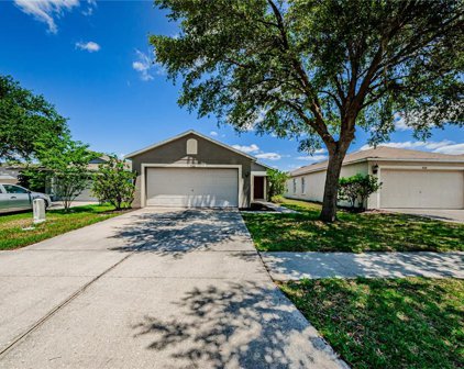 8506 Deer Chase Drive, Riverview