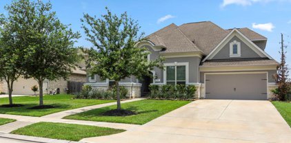 1321 Summer Field Lane, Friendswood